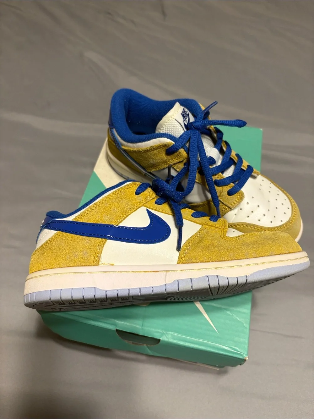 Nike sb zoom